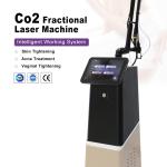 2024 3D 4D Co2 Fractional Laser Stretch Mark Removal Co2 Fractional Laser