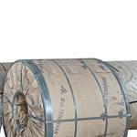 201 202 Stainless Steel 304 Coil 310S Hot/Cold Rolled