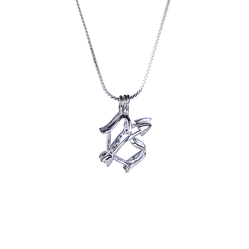 12 Horoscope Zodiac Love Wish Pearl Necklace Gift Set with Sagittarius Cage Pendant Innovative Birthday Gift