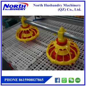 Wholesale Poultry Equipment - Turnkey Projects from china suppliers
