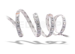 Wholesale 14.4W 60 RGB LED Strips Lights 12V 120 Degree Beam Angle IP20 RGB LED Strip Lights from china suppliers