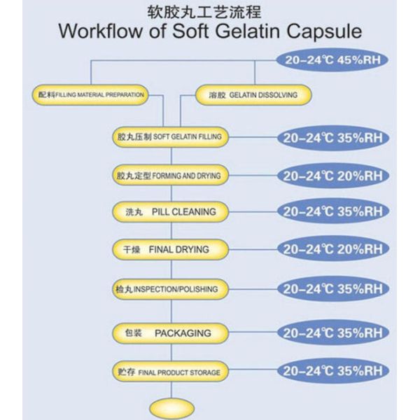 Softgel Encapsulation Machine S610