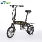 E6-4 2 Wheel Electric Bike 36V 250W Brushless Motor Lithium Battery Aluminum