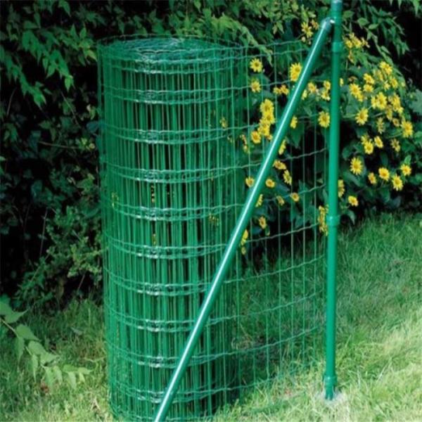 Europe Standard 2.0-4.0mm Welded Wire Backyard Fence Vinyl Coated Wire Mesh