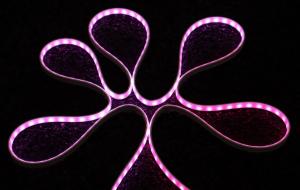 Wholesale 25000H DIY LED Neon Light Body Smart Neon Flex Rope Light from china suppliers