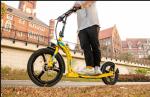 Rich Bit H100 Big Wheel E Scooter 350w Electric Scooter Bicycle Front 16" 20"