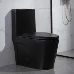 One-Piece Elongated Dual-Flush Toilet With Skirted Trapway White Black 680mm