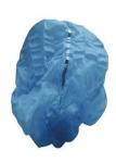 Bouffant Disposable Plastic Caps Anti Virus Fast Delivery CE FDA Certificated