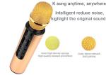 5W*2 Wireless Karaoke Microphone Bluetooth Speaker 6H Playtime For Holiday Party