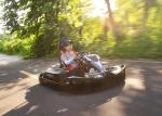 EV Kart Electric Drift Cart 3000W Go Kart Alloy Steel Frame