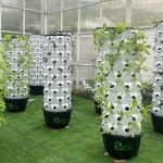 65L Water Capacity 10 Layers 80 Plant Holes Hydroponic Grow Tower System for