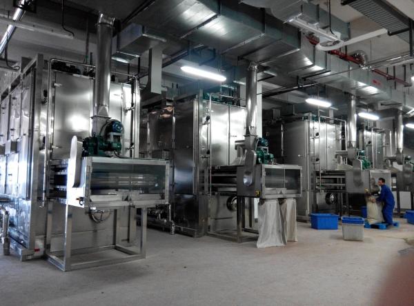 garlic mesh belt dryer in SUS304 ,heating source is steam ,electricicty ,gas