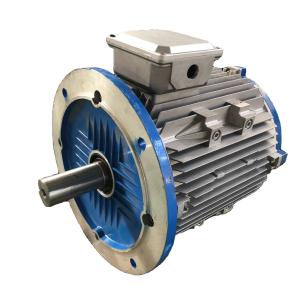 Wholesale IE5 Line Start Permanent Magnet Motor , IP68 AC Synchronous Electric Motor from china suppliers