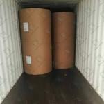 200gsm - 350gsm Environmental White Top Kraft Liner For Food Packing