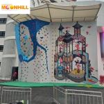 Customized Resin Outdoor Climbing Wall Long Lasting Cloud Storage For Businesses