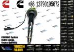 Y431K05417 QSK19 Diesel Engine Common Rail Fuel Injector Y431K05558 4964171