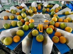 Wholesale Oranges Food Grade 5.0L 14 Head Multihead Weigher from china suppliers