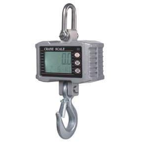 crane scale