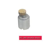 Carbon Brush DC Vibration Motor RC-260SA-Z For Massage Bed RoHS Approved