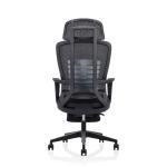 Adjustable Height Ergo Mesh Office Chair with Lumbar and Footrest 635*620*1155