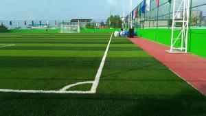 Wholesale Soccer Fields Synthetic Turf With Rubber Granules Infill Material Located In Maldives from china suppliers