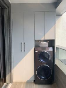 Wholesale Multifunctional Alocasia Balcony Laundry Storage Cabinet High Durability from china suppliers