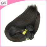 Smooth and Thick Bundles Virgin Hair 100g Fashion Queen Malaysian Straight
