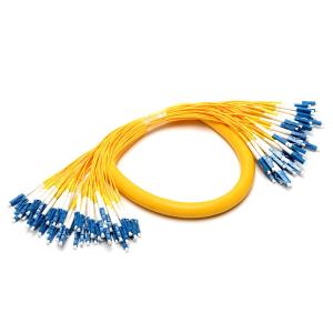 Wholesale 48 Core LC LC Fiber Patch Cord Simplex Singlemode PVC LSZH 3.0mm from china suppliers