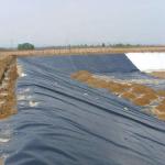 Waterproof Membrane HDPE Plastic Pond Liner Fish Tank Liner 2mm Geomembrane ASTM