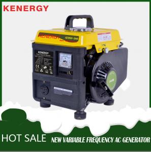 Wholesale 800W small gasoline generator field household single-phase motor for electricity from china suppliers