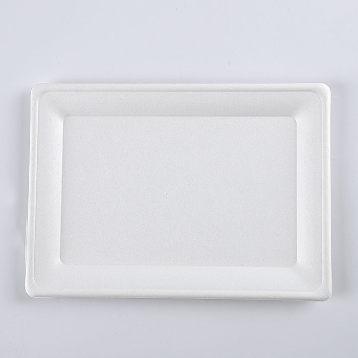 2020 new product oil and water proof biodegradable white rectangular snack plate