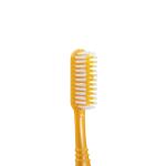 60-Day Stocked Toothbrushes for Effective Oral Hygiene