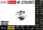 Diesel Fuel Injection Pump 294050-0060,Diesel Fuel Injection Pump 294050-0060