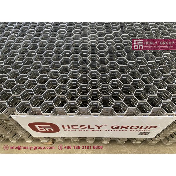 HESLY China Hexmesh 