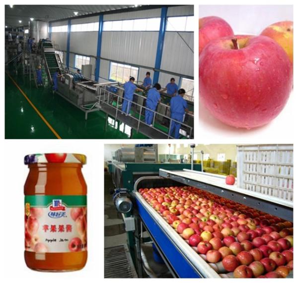 Small Capacity Apple Juice Processing Plant SS304 Material Beverage Processing