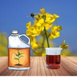 Transparent Golden Enzymatic Amino Acid Liquid Fertilizer 400g/L Peptides 100g/L