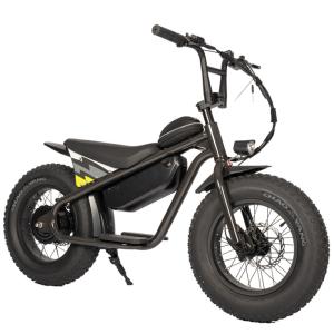 Wholesale 250W Single Speed Kids Electric Bicycle E Bike with 13Ah Battery Capacity Front Fork from china suppliers