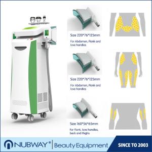Wholesale Liposuction Cryolipolysis Body Slimming Machine / Cryolipolysis Fat Freezing Machine Two Handles Work Together from china suppliers