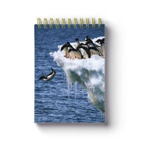 Wholesale Animal Spiral Bound Notebook School Stationery Set 3D Printing from china suppliers