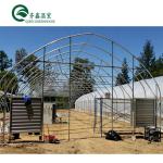 Tunnel Greenhouse Choose Customizable Size Single-Span Agricultural Greenhouses