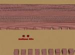 Efficient Hoffman Kiln With 28 Gates 46 Gates 52 Gates For Brick Manufacturing