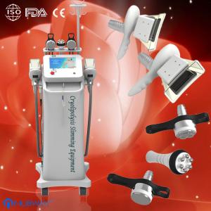 Wholesale 2014 newest Cryolipolysis Slimming Machine from china suppliers