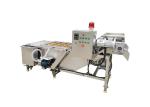 Air Bubble SS304 3.75KW Ozone Fruit Washing Machine