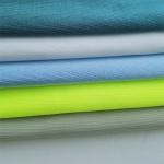 Direct Supply of 55D Yarn Count Polyester Spandex Fabric for Swimwear Yoga Pants