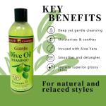 Private Label Extreme Moisture Curly Hair Care Products Hot Selling Professional