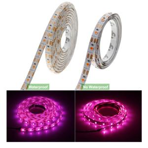 Wholesale Red Blue 4:1 5m Waterproof Full Spectrum LED Strip from china suppliers
