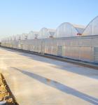Customizable Size Multi Span Agricultural Greenhouses With Hot Dip Galvanized