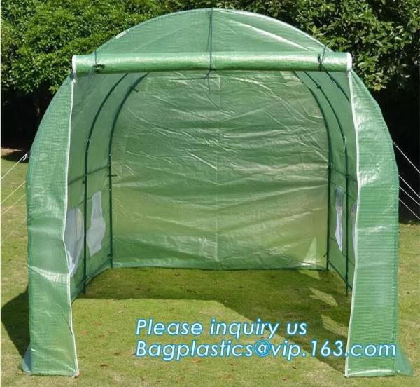 Excellent Material Agriculture Greenhouse/Low Cost Green House,High quality