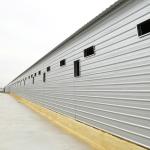 Climate Controlled Poultry Farming Structures For Chicken ISO9001