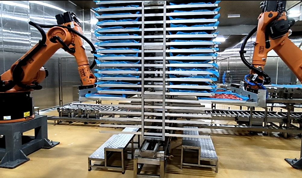 Automatic Palletizing Work Station Online Support After and Automatic Advantages